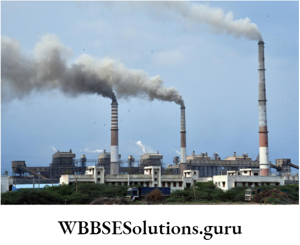 WBBSE Solutions For Class 10 Life Science Chapter 5 Environment Its Resources And Their Conservation Topic D Biodiversity And Conservation thermal power station