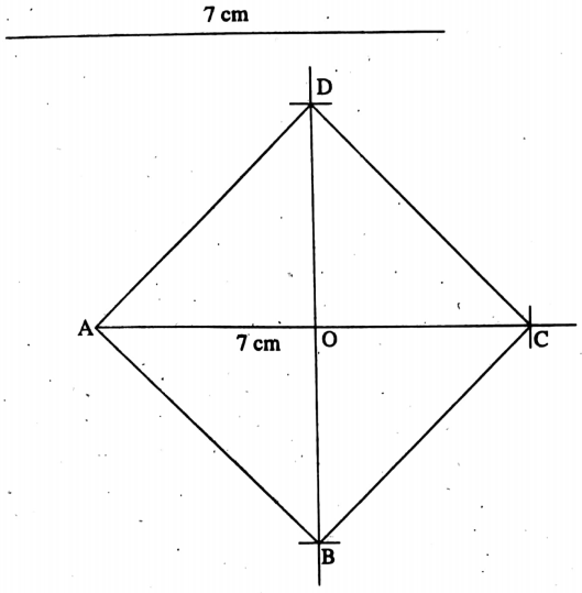 WBBSE Solutions For Class 8 Maths Geometry Chapter 1 Revision Draw A Square ABCD Where Length Of Diagonal Is 7cm