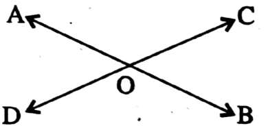 WBBSE Solutions For Class 8 Maths Geometry Chapter 3 Concept Of Vertically Opposite Angles Two Straight Lines Intersect Each Other Then Four Angles Are Formed