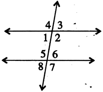 WBBSE Solutions For Class 8 Maths Geometry Chapter 4 Properties Of Parallel Lines And Their Transversal A Straight Line Intersects Two Parallel Lines