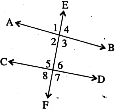 WBBSE Solutions For Class 8 Maths Geometry Chapter 4 Properties Of Parallel Lines And Their Transversal Alternate Angles