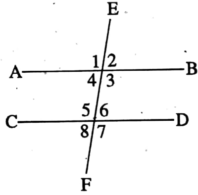 WBBSE Solutions For Class 8 Maths Geometry Chapter 4 Properties Of Parallel Lines And Their Transversal Example 12-1