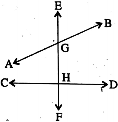 WBBSE Solutions For Class 8 Maths Geometry Chapter 4 Properties Of Parallel Lines And Their Transversal Transversal