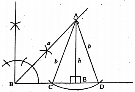 WBBSE Solutions For Class 8 Maths Geometry Chapter 8 Construction Construction Of Triangles Measurements Example 2-1