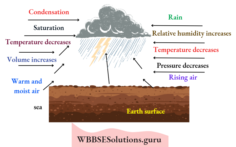 WBBSE Notes For Class 10 Chapter 2 Atmosphere Convectional Rainfall