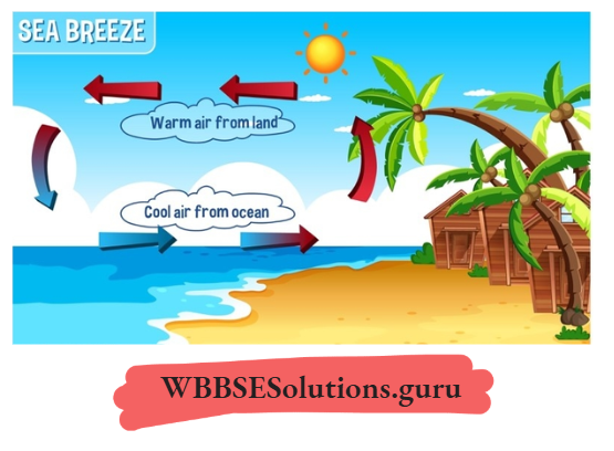 WBBSE Notes For Class 10 Chapter 2 Atmosphere Sea Breeze