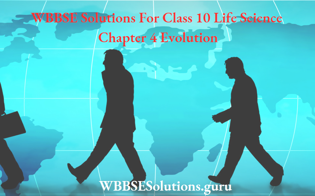 WBBSE Solutions For Class 10 Life Science Chapter 4 Evolution