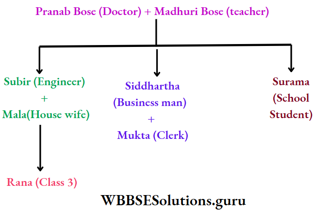 Family Chart Or Tree pranab family