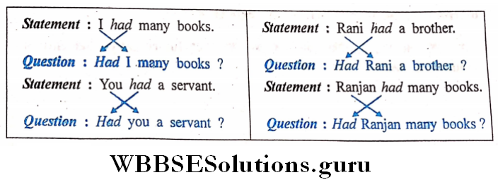 Interrogative Sentences 4