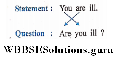 Interrogative Sentences