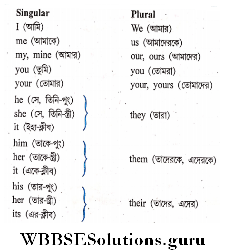 Number singular and plural