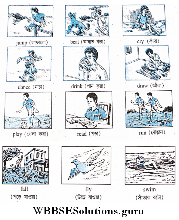 Parts Of Sepech verbs