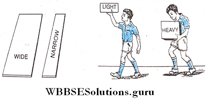 Parts Of Sppech adjectives