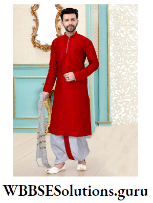 WBBSE Notes For Class 10 History And Environment Chapter 1 Ideas Of History Dhoti Punjabi