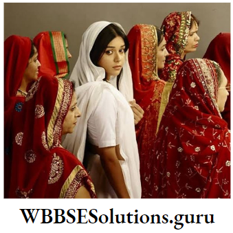 WBBSE Solutions For Class 10 History And Environment Chapter 2 Culture Characteristics And Discussions Widow Remarriage