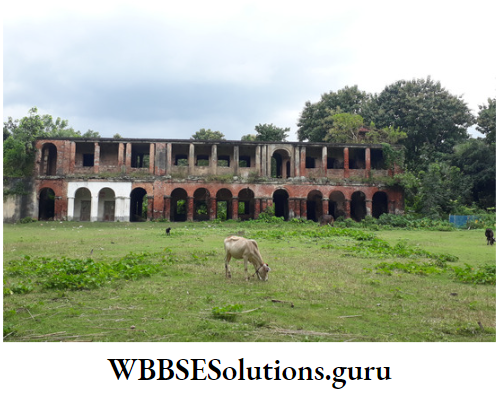 WBBSE Solutions For Class 10 History And Environment Chapter 3 Resistance And Rebellion Nil Kuthi