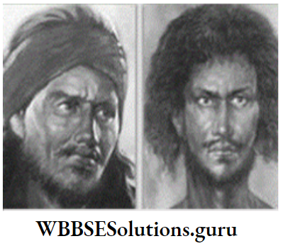WBBSE Solutions For Class 10 History And Environment Chapter 3 Resistance And Rebellion Sidhu And Kanu