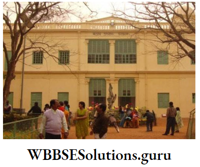 WBBSE Solutions For Class 10 History And Environment Chapter 5 Alternative Ideas And Initiative Characteristics And Discussions Visvabharati