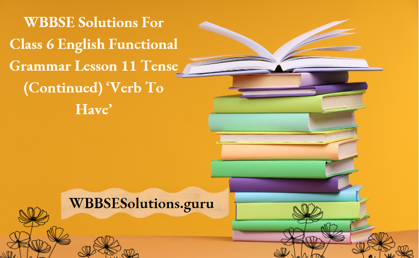 WBBSE Solutions For Class 6 English Functional Grammar Lesson 11 Tense Continued Verb To Have