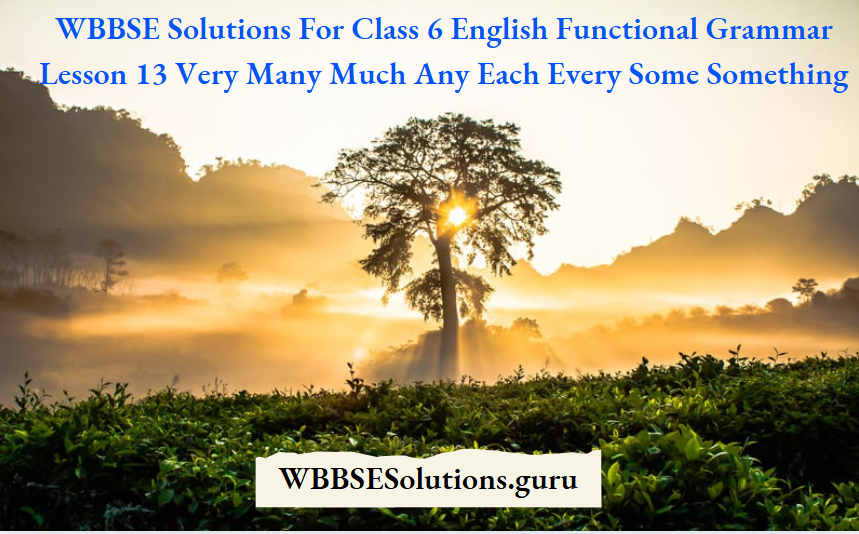 WBBSE Solutions For Class 6 English Functional Grammar Lesson 13 Very Many Much Any Each Every Some Something