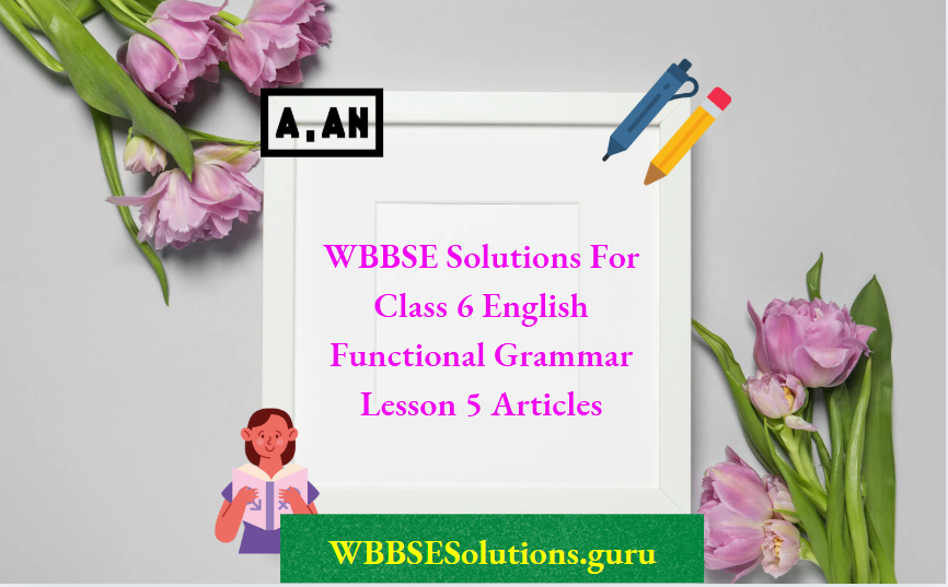 WBBSE Solutions For Class 6 English Functional Grammar Lesson 5 Articles