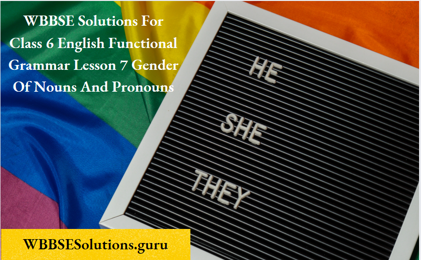 WBBSE Solutions For Class 6 English Functional Grammar Lesson 7 Gender Of Nouns And Pronouns