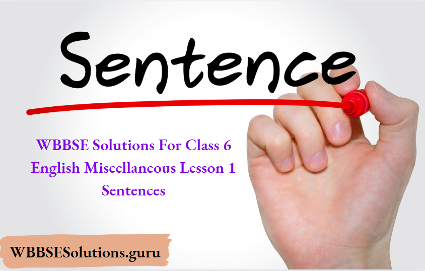 WBBSE Solutions For Class 6 English Miscellaneous Lesson 1 Sentences