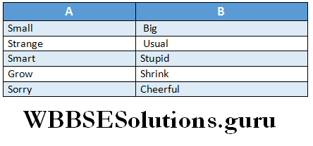 WBBSE Solutions For Class 6 English Reading Skills Lesson 10 Smart Ice Cream match the words.