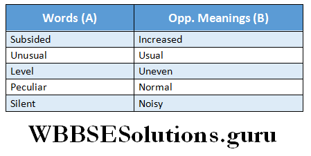 WBBSE Solutions For Class 6 English Reading Skills Lesson 12 Rip Van Winkle fill the blanks with text.