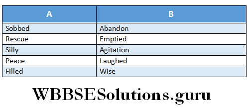 WBBSE Solutions For Class 6 English Reading Skills Lesson 2 The Adventurous Clown match the words