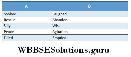WBBSE Solutions For Class 6 English Reading Skills Lesson 2 The Adventurous Clown match the words.