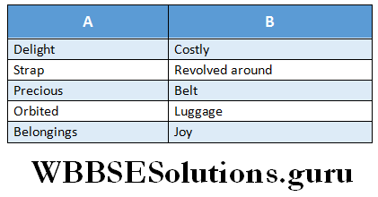 WBBSE Solutions For Class 6 English Reading Skills Lesson 6 How The Little Kite Learned to Fly match the columns with thier meanings