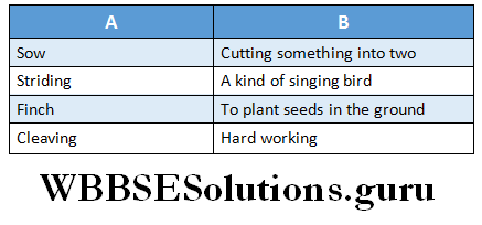 WBBSE Solutions For Class 6 English Reading Skills Lesson 9 I will Go With My Father A Ploughing match the words