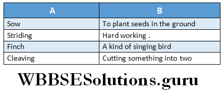WBBSE Solutions For Class 6 English Reading Skills Lesson 9 I will Go With My Father A Ploughing match the words.