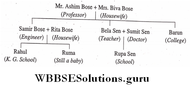 WBBSE Solutions For Class 6 English Reading Skills Unseen Paragraph Writing Mr Ashim Bose family tree