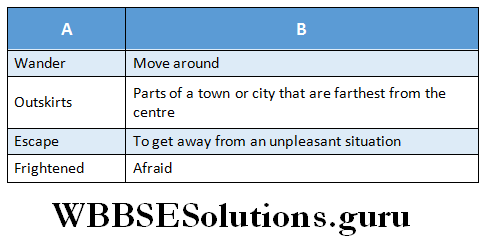 WBBSE Solutions For Class 6 English Readingn skill lesson 1 It All Began With Drip Drip match the words with their meanings