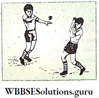 WBBSE Solutions For Class 8 English Functional Grammar Chapter 12 Prepositions Don't Throw It At Me