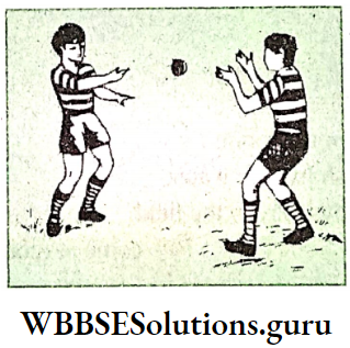 WBBSE Solutions For Class 8 English Functional Grammar Chapter 12 Prepositions Throw It To Me