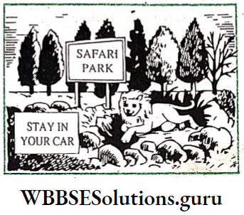 WBBSE Solutions For Class 8 English Functional Grammar Chapter 16 Clauses You'll Probably Be Safe If You Stay In Your Car