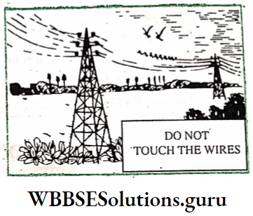 WBBSE Solutions For Class 8 English Functional Grammar Chapter 16 Clauses You'll Probably Get An Electric Shock