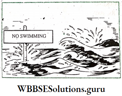 WBBSE Solutions For Class 8 English Functional Grammar Chapter 16 Clauses You'll Probably Get Into Difficulties