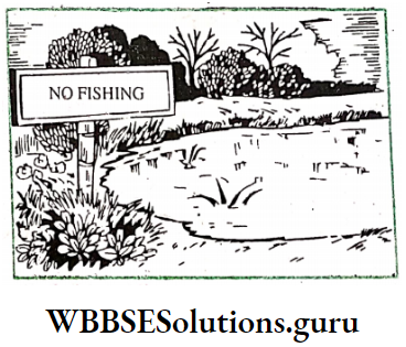 WBBSE Solutions For Class 8 English Functional Grammar Chapter 16 Clauses You'll Probably Get Into Troubles