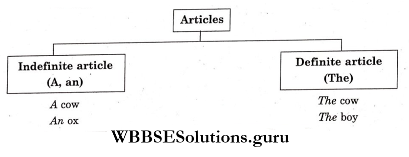 WBBSE Solutions For Class 9 English Functional Grammar Chapter 3 Articles Indefinite articles