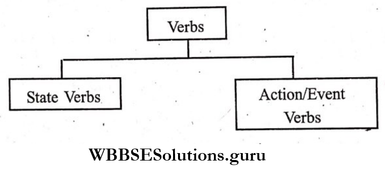WBBSE Solutions For Class 9 English Functional Grammar Chapter 4 Verbs And Verbals Verbs
