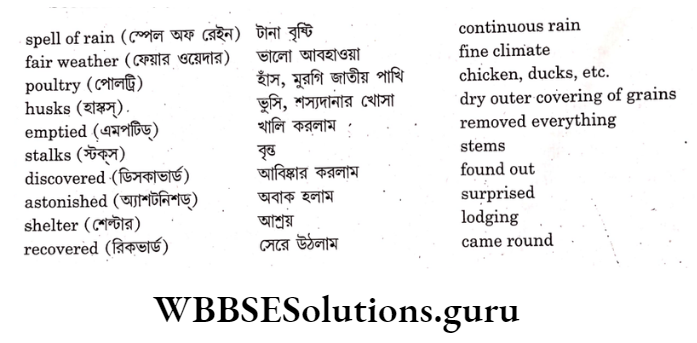 WBBSE Solutions For Class 9 English Reading Skill Lesson 10 Ashipwrecked sailor section-3