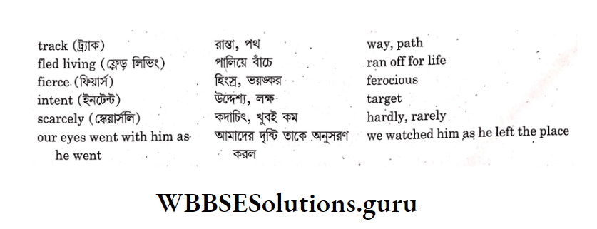 WBBSE Solutions For Class 9 English Reading Skill Lesson 11 Hunting Snake stanza-3