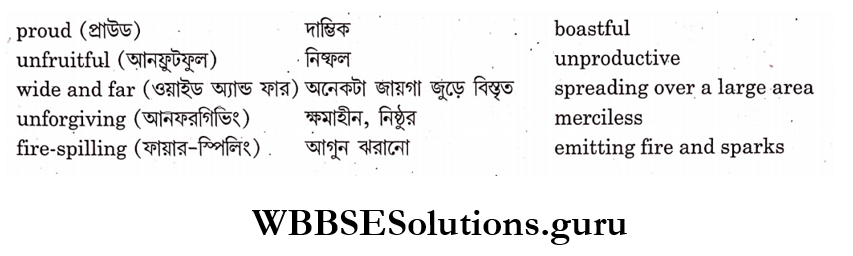WBBSE Solutions For Class 9 English Reading Skills chapter 9 The north ship stanzas 5-6
