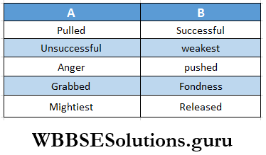 WBBSE Solutions For Class 8 English Reading Skill Seen Lesson 1 The Wind Cap Match The Word IN A With B