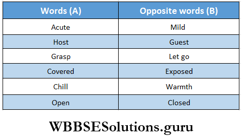 WBBSE Solutions For Class 8 English Reading Skill Seen Lesson 11 Midnight Express Match The Word In A And With Their Opposite Words In B Answer