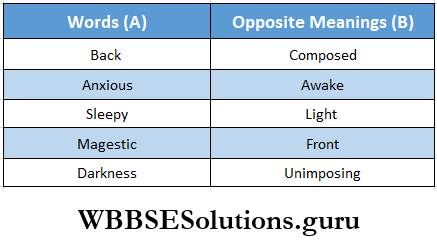 WBBSE Solutions For Class 8 English Reading Skill Seen Lesson 4 The Great Escape Match The Word In A With Their Opposite Meaning In B